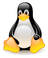 linux-ssh-nat